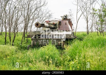 Kherson, USA. 22. Mai 2023. Außenansicht der zerstörten russischen selbstfahrenden 152-mm-Artillerie Acacia, gesehen in der Nähe von Kherson in der Ukraine, gesehen am 22. Mai 2023. Mitglieder der ukrainischen Nationalgarde räumen Minen auf allen Feldern und anderen befreiten Gebieten sorgfältig ab, um sicherzustellen, dass Menschen insbesondere in der Landwirtschaft leben und arbeiten können, ohne Angst zu haben, durch nicht explodierte Munition von Landminen getötet oder verletzt zu werden. (Foto: Lev Radin/Sipa USA) Guthaben: SIPA USA/Alamy Live News Stockfoto