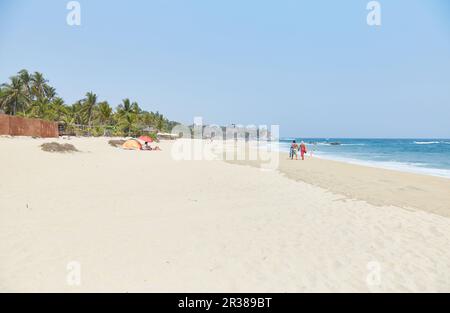 Eine kleine Schildkröte in Puerto Escondido, Oaxaca, Mexiko Stockfoto