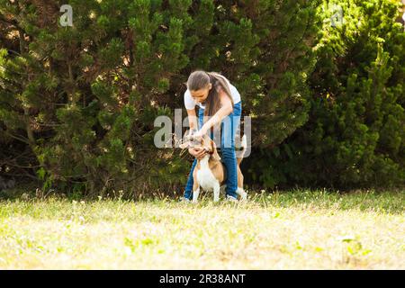 Mädchen spielt mit einem Hund auf dem Hof Stockfoto