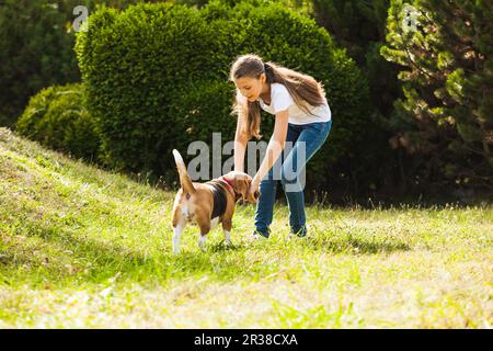 Mädchen spielt mit einem Hund auf dem Hof Stockfoto