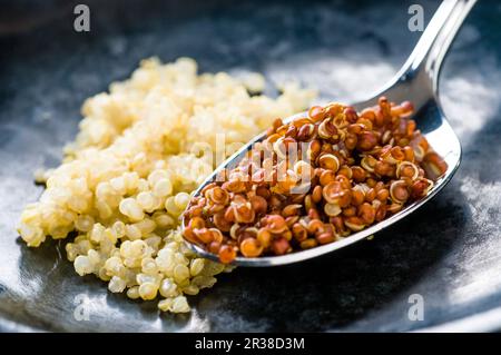 Zwei verschiedene Arten gekochter Quinoa Stockfoto