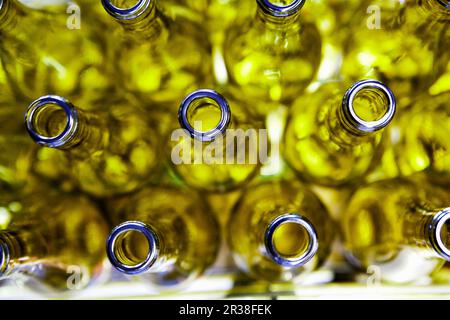 Leere Flaschen Wein in einer Abfüllanlage Stockfoto