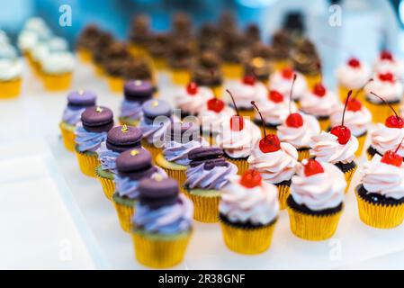 Cupcakes im Schauschrank Stockfoto