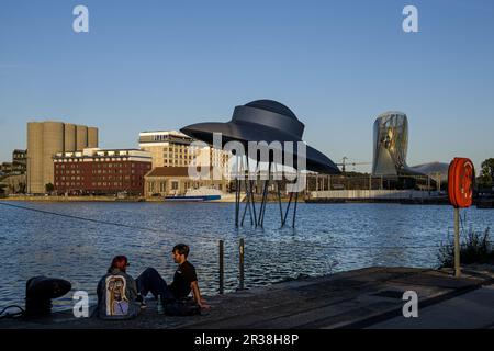 FRANKREICH. GIRONDE (33). BORDEAUX. "DAS RAUMSCHIFF", SKULPTUR IN FORM EINER FLIEGENDEN UNTERTASSE, VON DER KÜNSTLERIN SUZANNE TREISTER. ES WURDE IM BECKEN INSTALLIERT Stockfoto