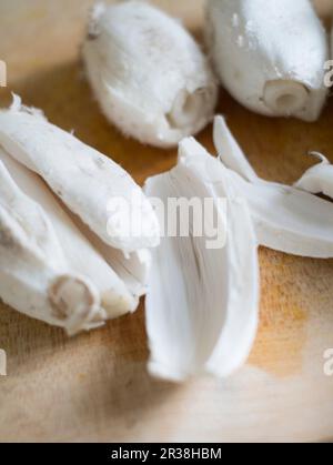 Shaggy ink Kappen Stockfoto