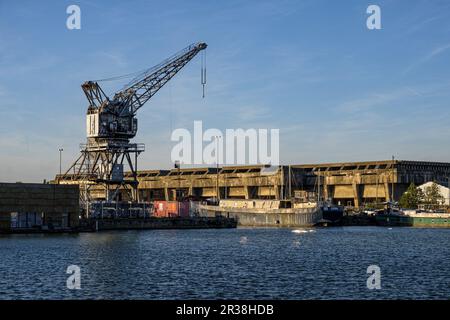 FRANKREICH. GIRONDE (33). BORDEAUX. IM FLOT-GEBIET BASSINS, IN DEM DIE HAFENAKTIVITÄTEN VON BORDEAUX IM BEZIRK BACALAN ZUSAMMENGEFASST SIND, DIE DERZEIT STATTFINDEN Stockfoto