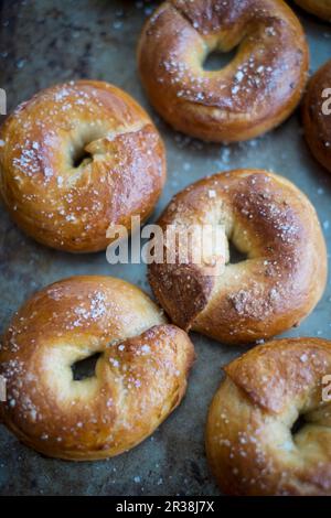 Knusprige Bagels mit Meersalz auf einem Backblech Stockfoto