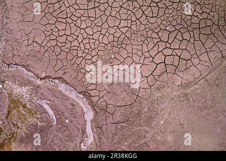 Draufsicht auf gebrochene trockene Erde auf dem Fluss oder Meeresgrund mit einem dünnen kleinen Bach, der noch fließend ist. Dürre und Wasserknappheit. Stockfoto