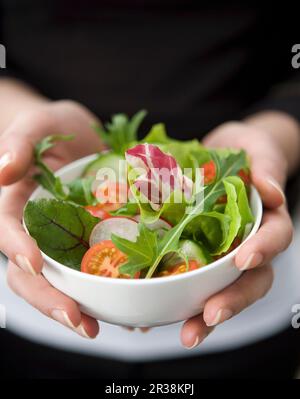 Hände halten einen kleinen weißen Ball mit gemischter Salat Stockfoto