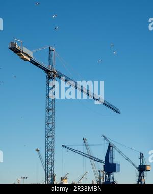 Kräne und Seeschweine auf der Werft Stockfoto