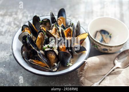 Muscheln in Weißwein gekocht Stockfoto