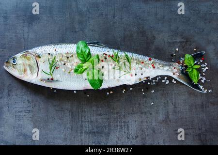 Ein ganzer roher Fisch mit Kräutern und Gewürzen (Draufsicht) Stockfoto