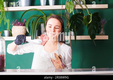 Dehydriert raw vegan trockenem Brot, gesunde Ernährung Konzept. Stockfoto