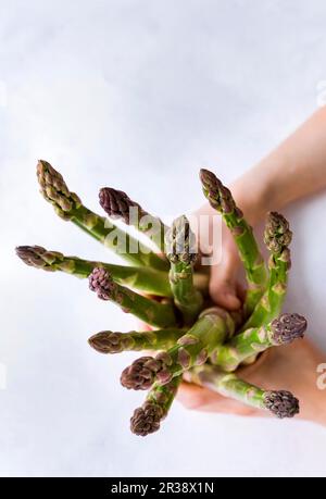 Händen mit grünen Spargelspitzen Stockfoto
