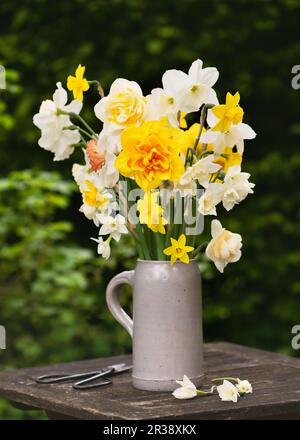 Wunderschöne Frühlingsblumen, Strauß verschiedener Arten von Narzissen, weiß, gelb, Doppelblumen in Steinbecher im Hüttengarten. Selektiver Fokus. Stockfoto