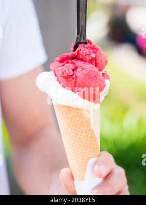 Himbeere und weiße Schokoladeneis in einer Schüssel Stockfoto