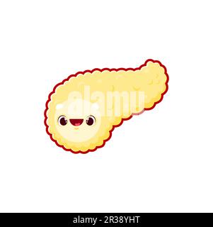 Cartoon-Pankreas-Organcharakteristik des menschlichen Körpers, Teil des Verdauungs- und Endokriniesystems. Vektor gesunde anatomische Persönlichkeit mit niedlichem Lächeln Stock Vektor