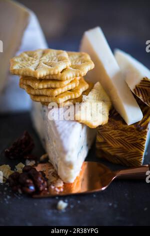 Cracker und verschiedene Käsesorten Stockfoto
