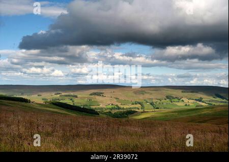 Moors neben der A686 in der Nähe von Alston, Cumbria Stockfoto
