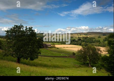 Moors neben der A686 in der Nähe von Alston, Cumbria Stockfoto