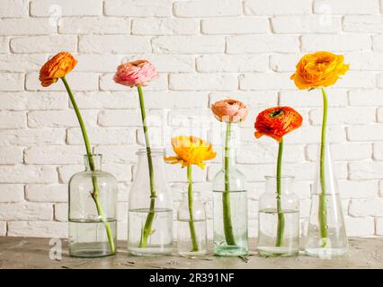 Eine Reihe von Glasflaschen mit Blumen Stockfoto