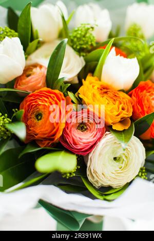 Ein Strauß von Ranunkulus in verschiedenen Farbtönen, Nahaufnahme Stockfoto