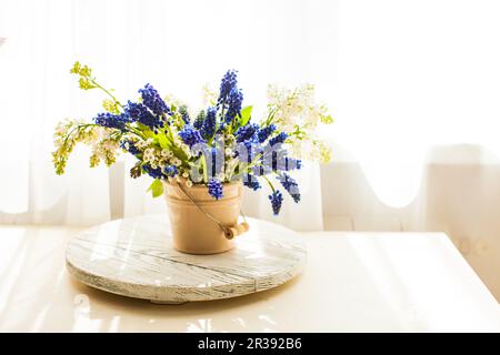 Ein Haufen Traubenhyazinthen in einer Keramikvase Stockfoto