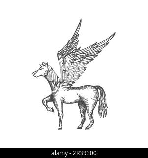 Griechischer pegasus mit Flügeln, starke mythologische Tierskizzen-Ikone. Vektormystische Mähne Symbol der Freiheit, mythologisches majestätisches Pferd Stock Vektor