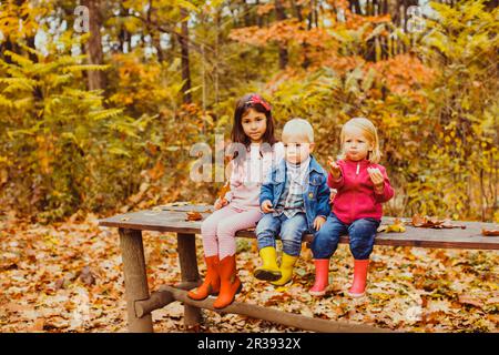 Familientag im Herbstpark, Gruppe von Kindern Stockfoto