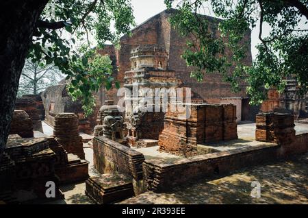 nalanda Stockfoto