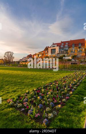 Abendlicht, Waren Mueritz, Mecklemburgische Seenplatte, Seengebiet Mecklenburg, Mecklenburg-Vorpommern, Ostdeutschland Stockfoto