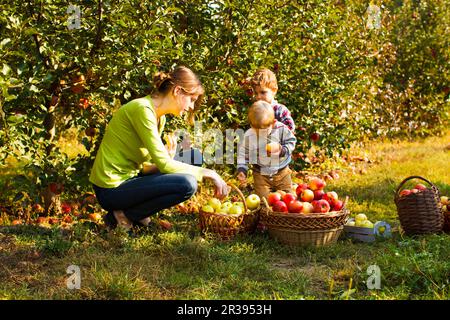 Lehrer mit Vorschulkindern in der Apple Garten Stockfoto