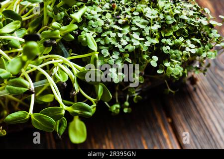 Mikrogrüner in Kartons auf Holztisch im Nahbereich Stockfoto