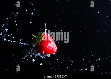 Erdbeerobst im Nahbereich und Milch spritzt Stockfoto