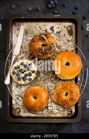 Hausgemachte Bagels mit Ziegenkäse, Blaubeeren, Thymian und Honig Stockfoto