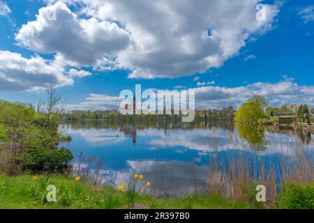 Blick auf die Stadt vom Schaugarten, der Landstadt Waren, Mueritz, der Mecklemburgischen Seenplatte, Mecklenburg-Vorpommern, Ostdeutschland, Europa Stockfoto