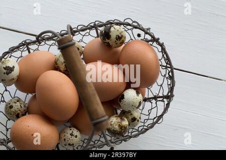 Hühnereier und Wachteleier in einem Drahtkorb (von oben gesehen) Stockfoto