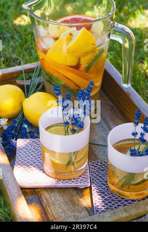 Eistee mit Zitrusfrüchten und Lavendel in einer Kanne und Gläsern Stockfoto