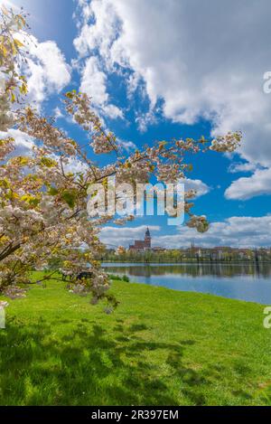 Blick auf die Stadt vom Schaugarten, der Landstadt Waren, Mueritz, der Mecklemburgischen Seenplatte, Mecklenburg-Vorpommern, Ostdeutschland, Europa Stockfoto