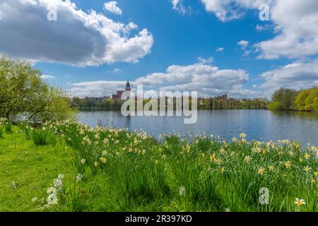 Blick auf die Stadt vom Schaugarten, der Landstadt Waren, Mueritz, der Mecklemburgischen Seenplatte, Mecklenburg-Vorpommern, Ostdeutschland, Europa Stockfoto