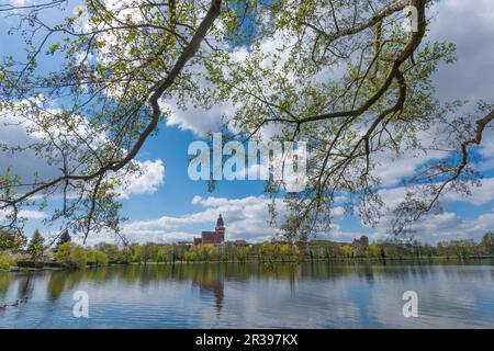 Blick auf die Stadt vom Schaugarten, der Landstadt Waren, Mueritz, der Mecklemburgischen Seenplatte, Mecklenburg-Vorpommern, Ostdeutschland, Europa Stockfoto