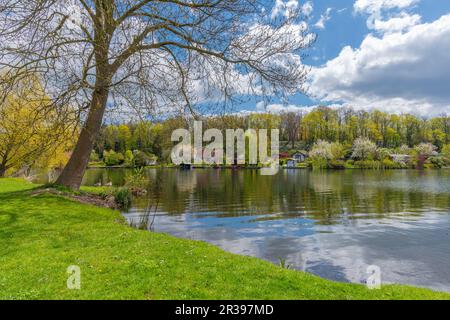 Blick auf die Stadt vom Schaugarten, der Landstadt Waren, Mueritz, der Mecklemburgischen Seenplatte, Mecklenburg-Vorpommern, Ostdeutschland, Europa Stockfoto