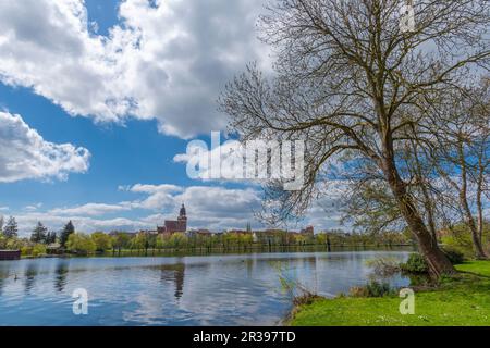 Blick auf die Stadt vom Schaugarten, der Landstadt Waren, Mueritz, der Mecklemburgischen Seenplatte, Mecklenburg-Vorpommern, Ostdeutschland, Europa Stockfoto