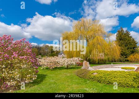 Öffentlicher Garten Schaugarten, Landstadt Waren, Mueritz, Mecklemburgische Seenplatte, Mecklenburg-Vorpommern, Ostdeutschland, Europa Stockfoto