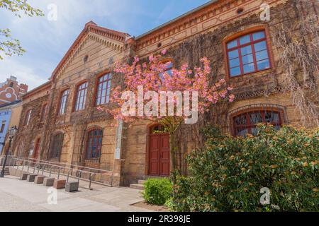 Museum Müritzeum, altes Gebäude, Landstadt Waren, Müritz, Mecklemburgische Seenplatte, Mecklenburg-Vorpommern, Ostdeutschland, Europa Stockfoto