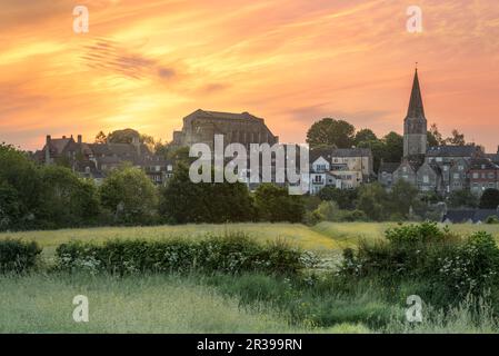 Dienstag, 23. Mai 2023. Malmesbury, Wiltshire, England - der Himmel wird lachsrosa, wenn die Sonne über der historischen Abtei und der Wiese mit Butterblumen in der hügeligen Stadt Malmesbury aufgeht. Die historische Abtei wurde 676 als Benediktinerkloster gegründet und ist das dominante Merkmal der malerischen Marktstadt Wiltshire. Kredit: Terry Mathews/Alamy Live News Stockfoto