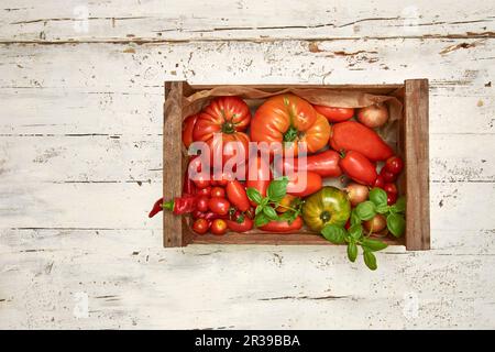 Verschiedene Tomatensorten in einer Kiste auf hellem Holzhintergrund Stockfoto