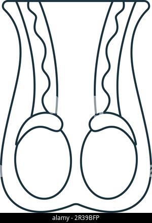 Hodensymbol. Monochromes einfaches Zeichen aus der Anatomie-Sammlung. Hodensymbol für Logo, Vorlagen, Webdesign und Infografiken. Stock Vektor