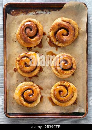 Zimtbrötchen auf einem Backblech (von oben gesehen) Stockfoto