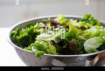 Verschiedene Salatblätter Stockfoto